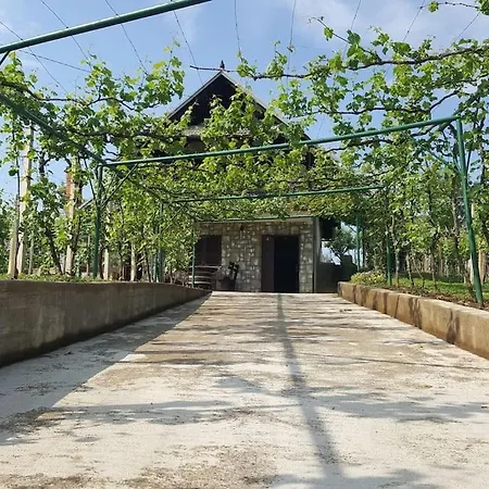 Near River Kolpa, Vineyards,top Location. Adlesici